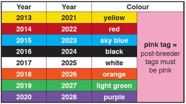 sheep colour chart 2021.webp